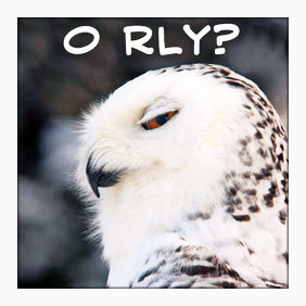 O-Rly-owls-13509350-282-282